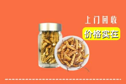 咸阳礼泉县回收散虫草