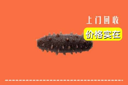 咸阳礼泉县回收海参