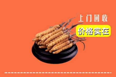咸阳礼泉县回收冬虫夏草